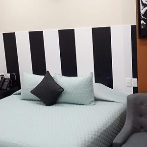 Suite con Cama Queen